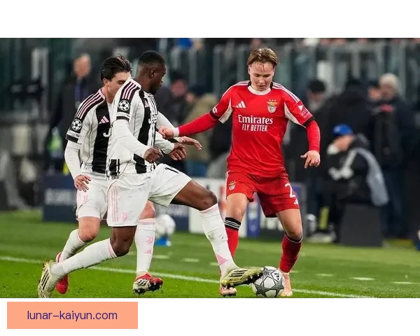 费耶诺德球员近期表现稳健，状态持续提升